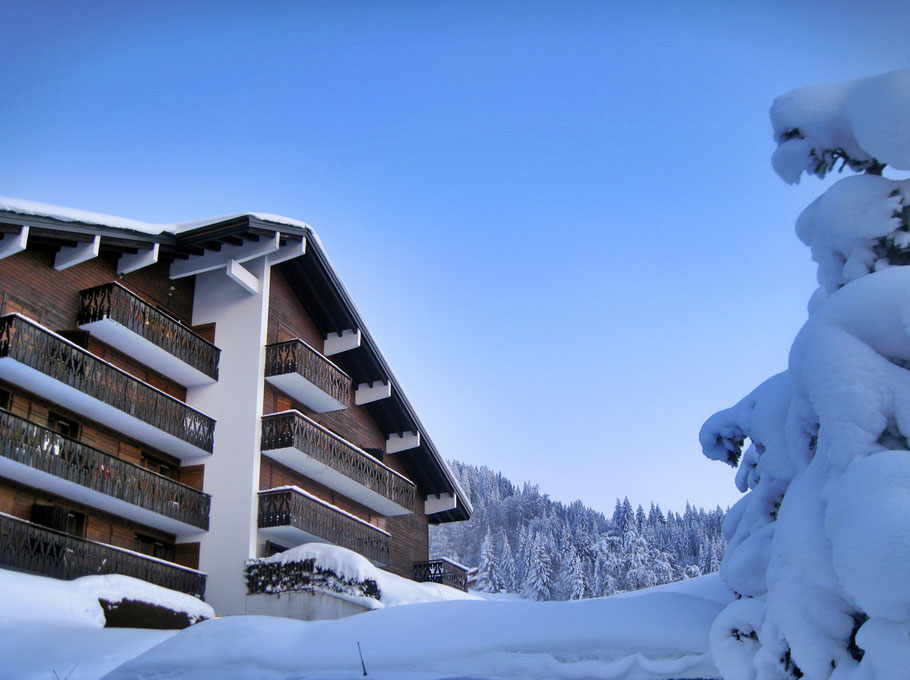 appartement à louer Les Carroz d'Arâches